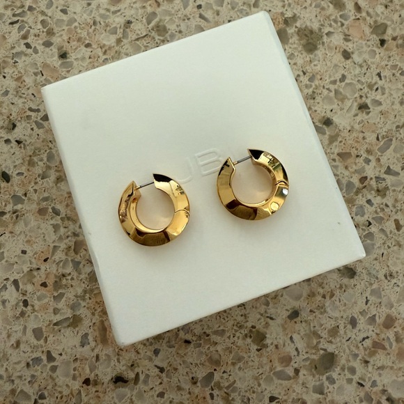 Jenny Bird Wide Hinged Hoop Earrings - Picture 6 of 8